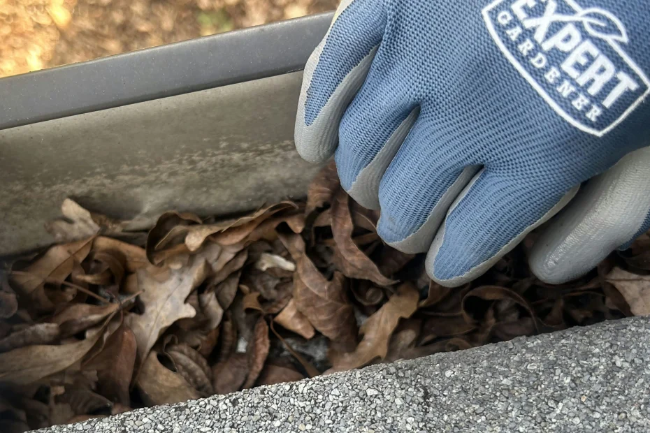 Gutter Cleaning Holly Springs NC