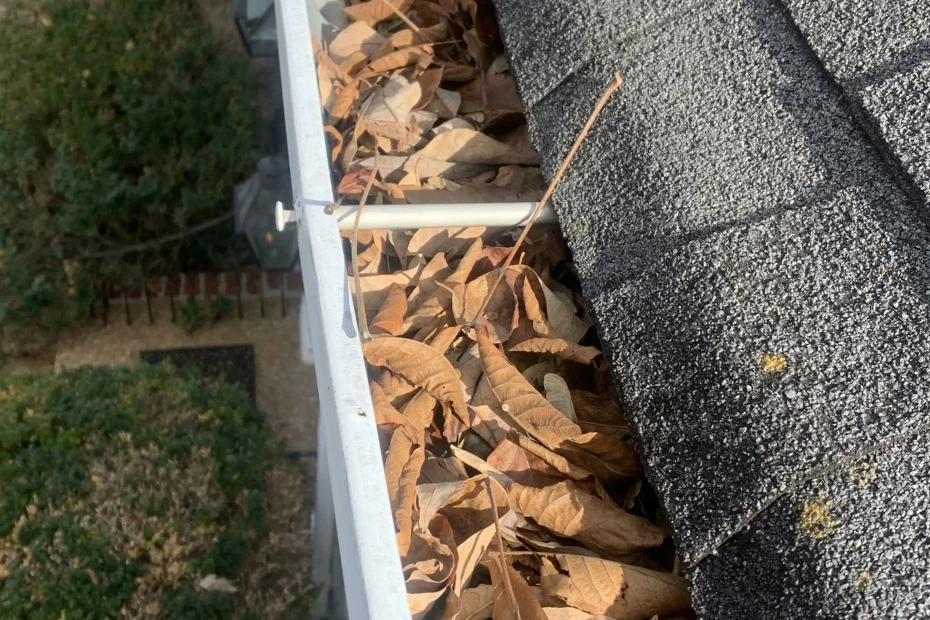 Gutter Cleaning Holly Springs NC