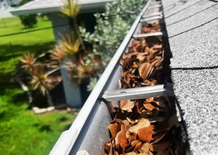 Gutter Cleaning Holly Springs NC home page